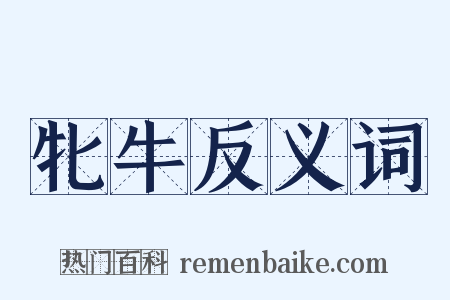 牝牛反义词是什么意思的图片